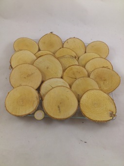 Birch (disks) 7-9 cm 20 p.